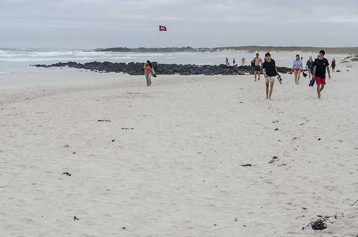 106 - Ecuador - islas Galapagos - isla Santa Cruz - playa de Pirata Bay